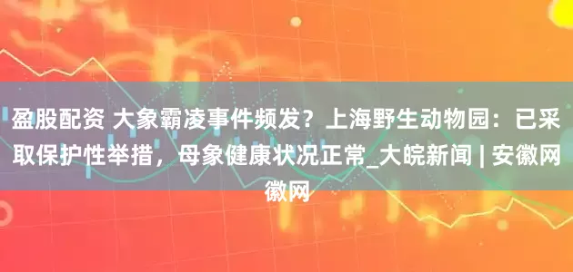 盈股配资 大象霸凌事件频发？上海野生动物园：已采取保护性举措，母象健康状况正常_大皖新闻 | 安徽网