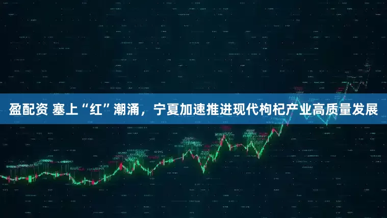 盈配资 塞上“红”潮涌，宁夏加速推进现代枸杞产业高质量发展